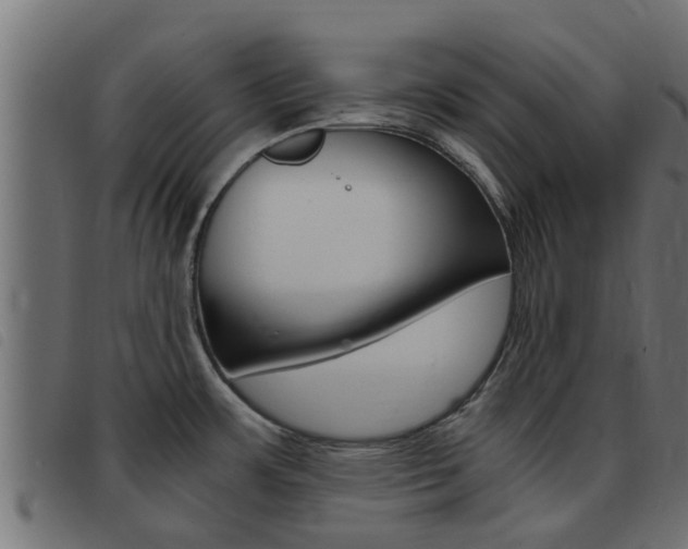 X0000093431483200710120907