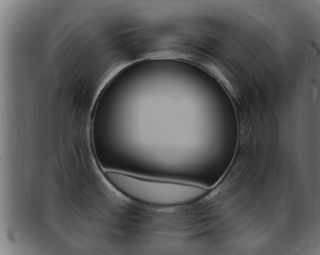 X0000093431484200710120907
