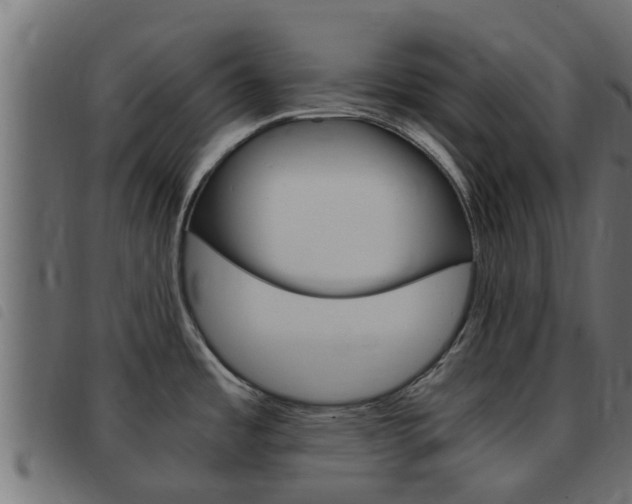 X0000093431485200710120907