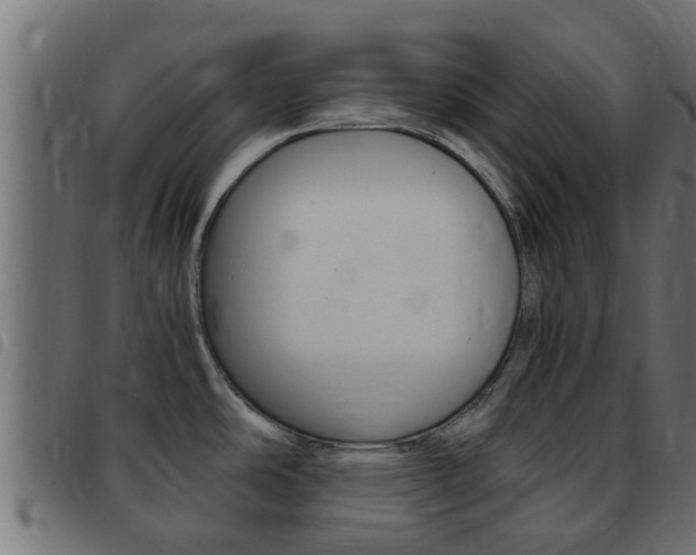 X0000093431486200710120907