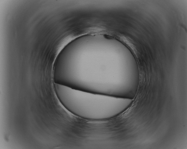 X0000093431487200710120907
