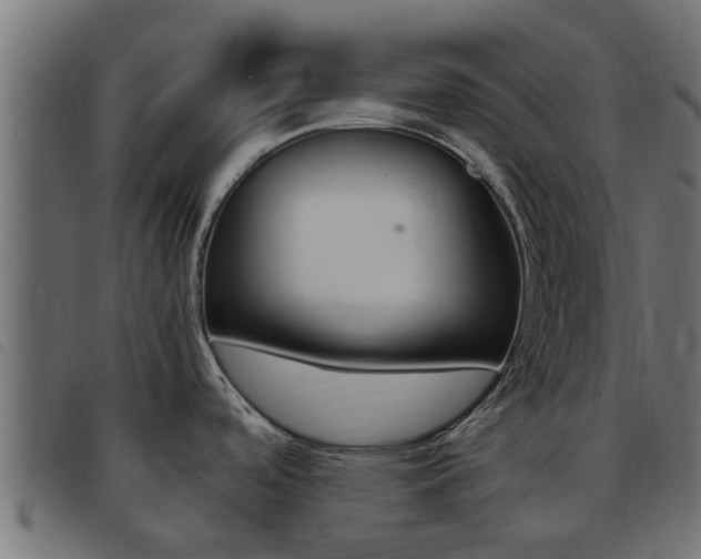 X0000093431488200710120907