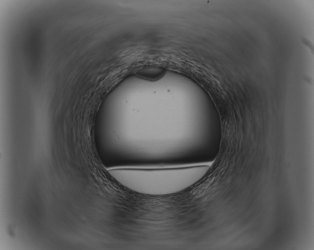 X0000093431489200710120906