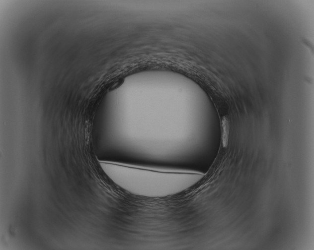 X0000093431491200710120906