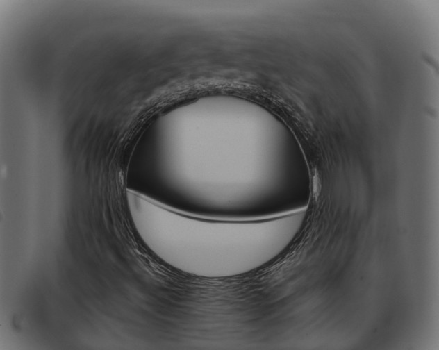X0000093431492200710120906