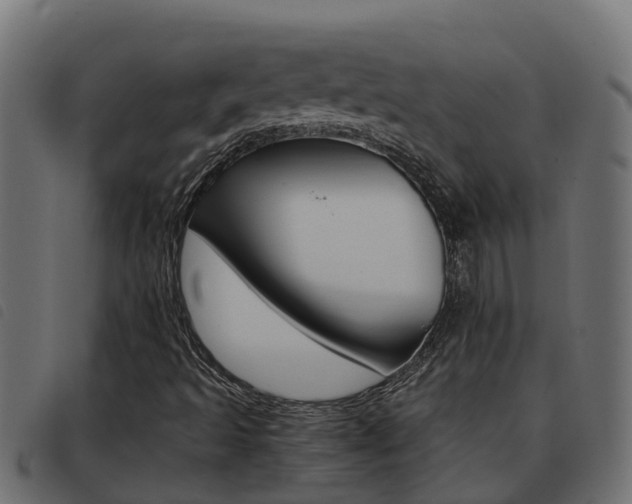 X0000093431493200710120906