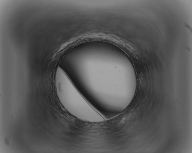 X0000093431494200710120906