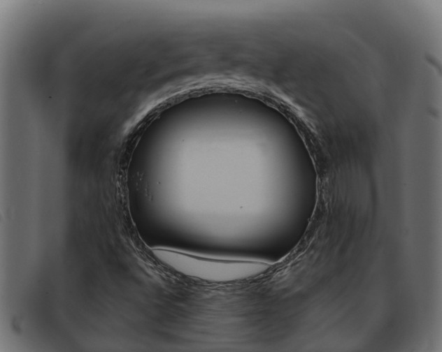 X0000093431496200710120906
