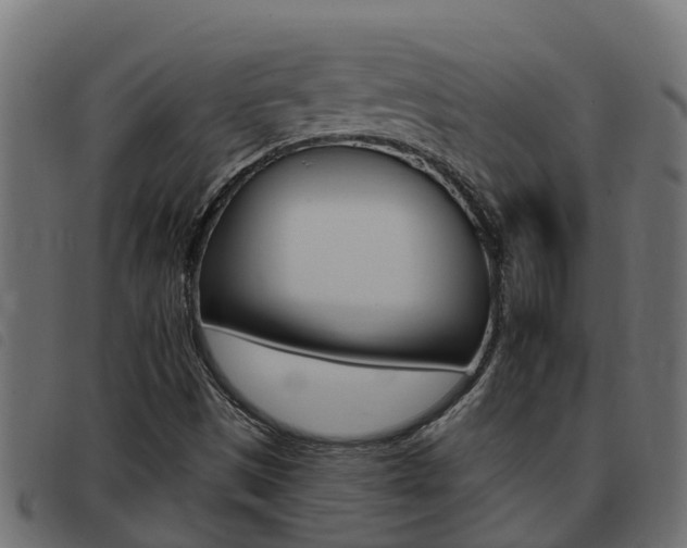 X0000093431497200710120906