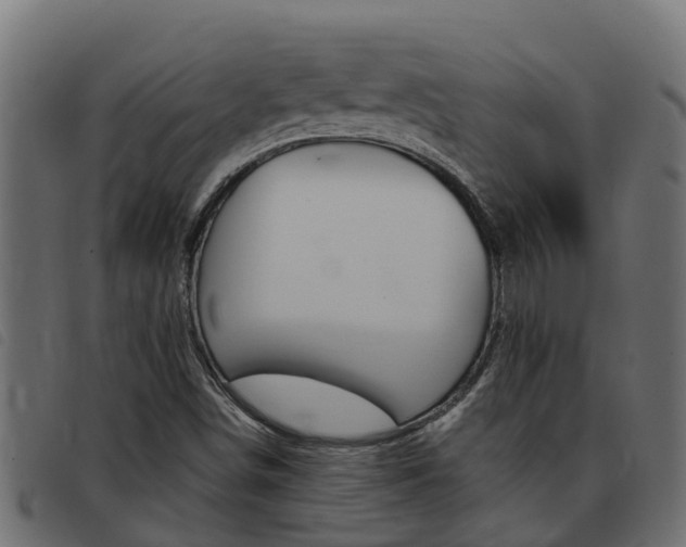X0000093431498200710120906