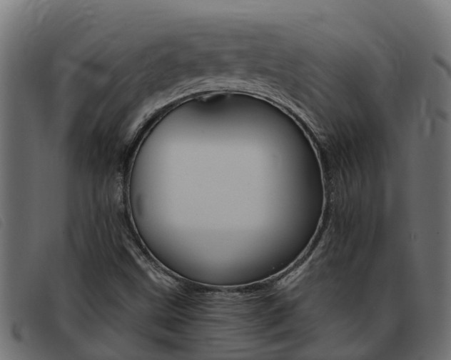 X0000093431499200710120906