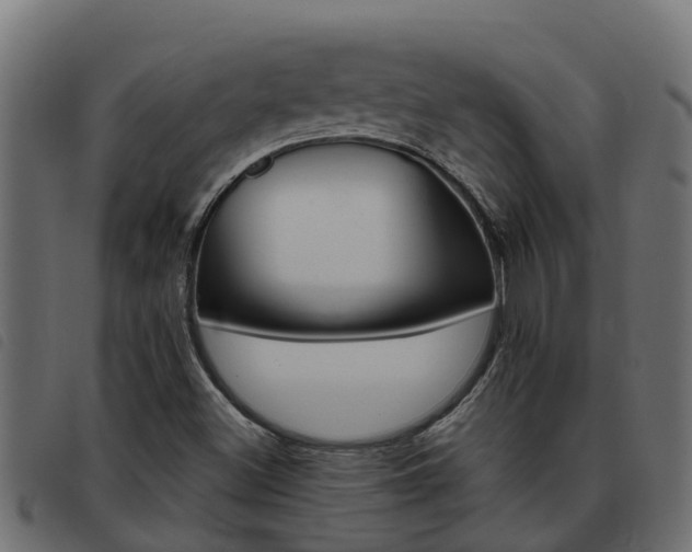 X0000093431500200710120906