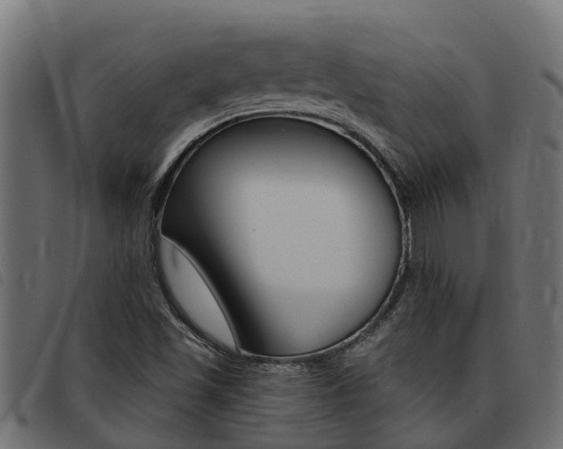 X0000093431501200710120906