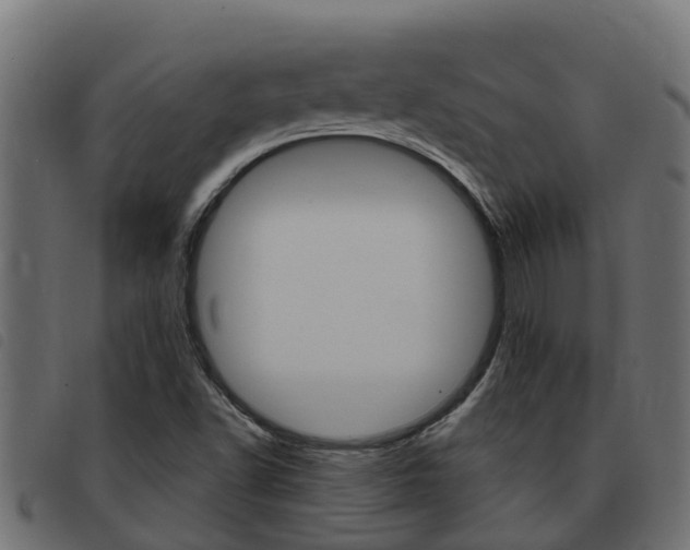 X0000093431502200710120906