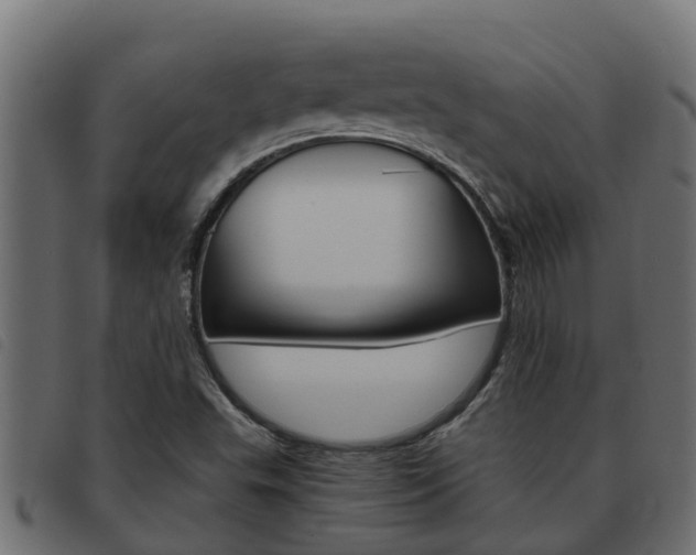 X0000093431503200710120906