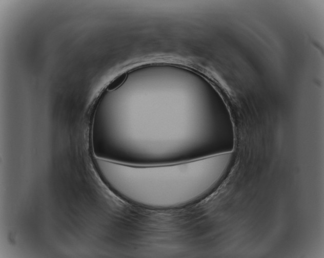 X0000093431504200710120907