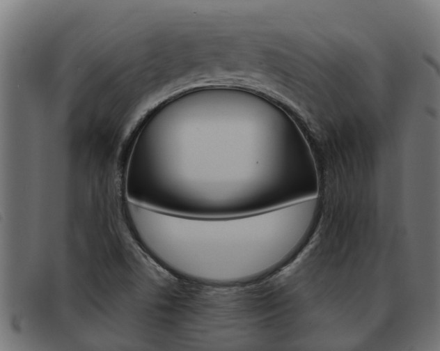 X0000093431506200710120907