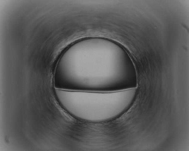 X0000093431507200710120907