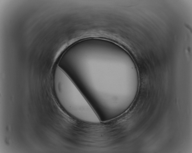 X0000093431509200710120907
