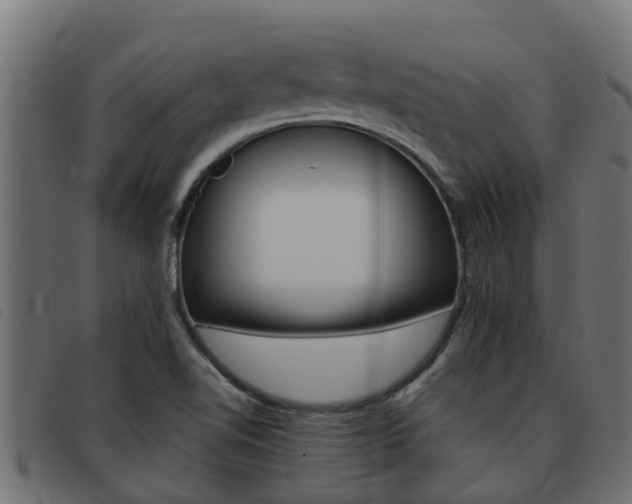 X0000093431510200710120907