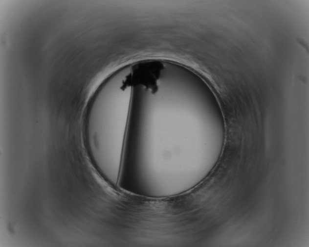 X0000093431511200710120907