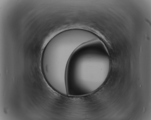 X0000093431512200710120907