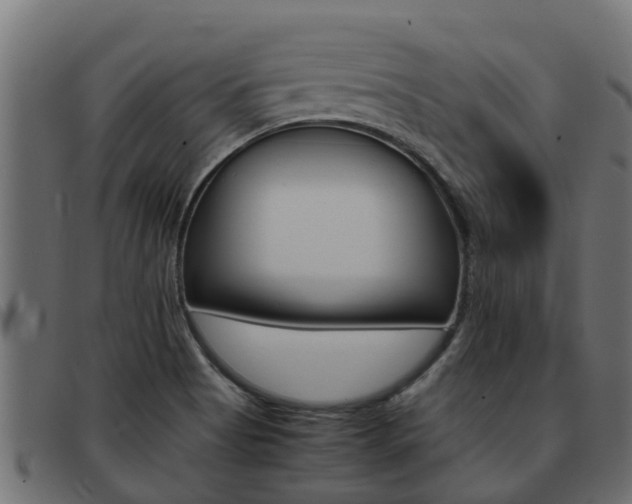 X0000093431513200710120907