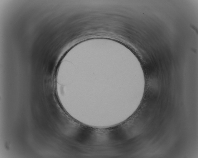 X0000093431514200710120907