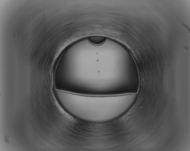 X0000093431515200710120907