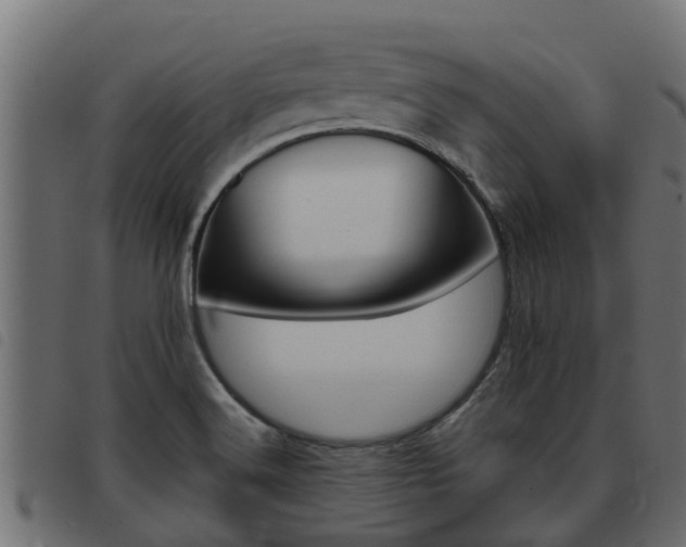 X0000093431516200710120907