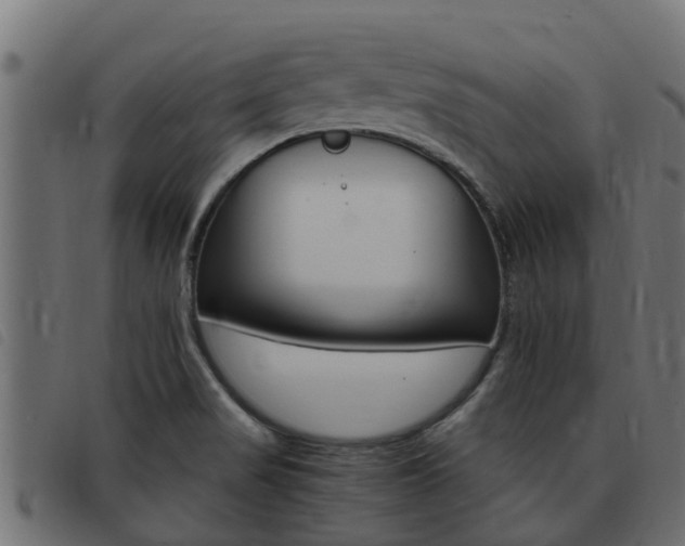 X0000093431517200710120907