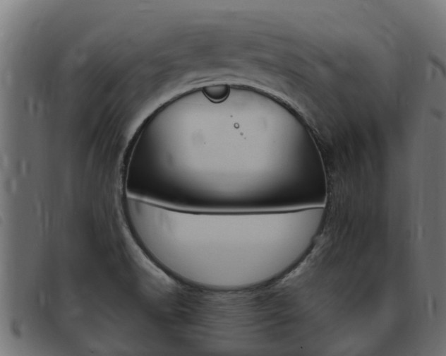 X0000093431518200710120907
