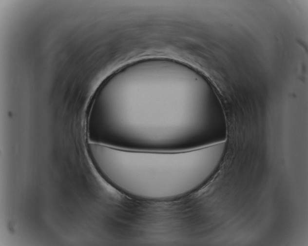 X0000093431519200710120907