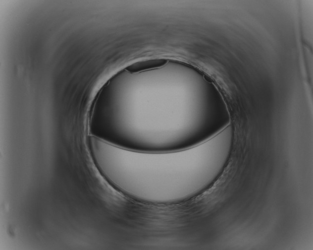 X0000093431520200710120907