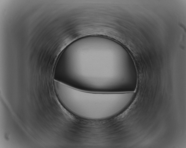 X0000093431521200710120907