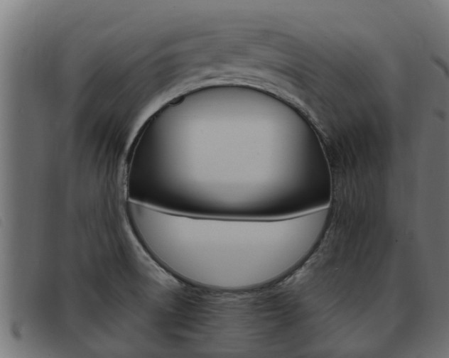 X0000093431522200710120907