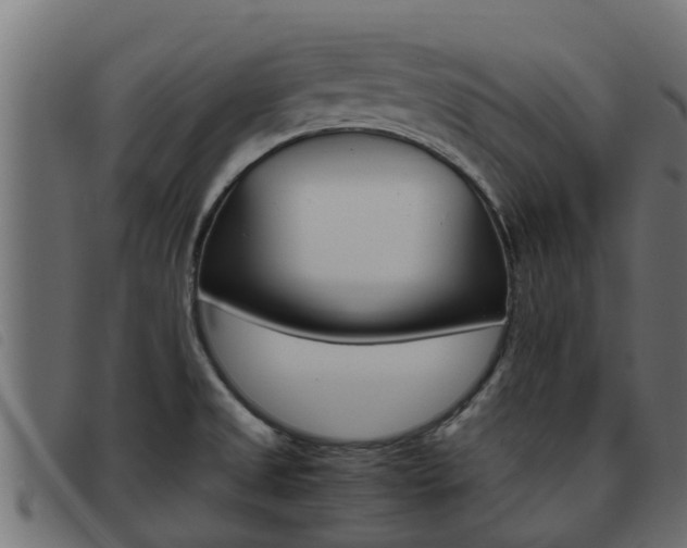 X0000093431525200710120907