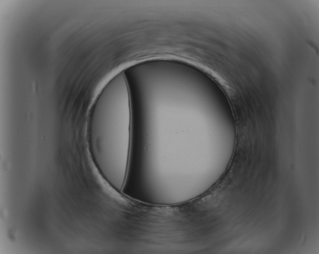 X0000093431526200710120907