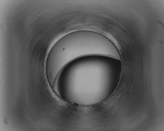 X0000093431528200710120907
