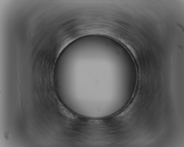 X0000093431529200710120907