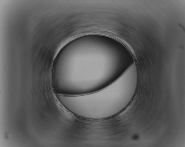 X0000093431530200710120907