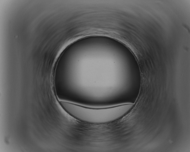 X0000093431531200710120907