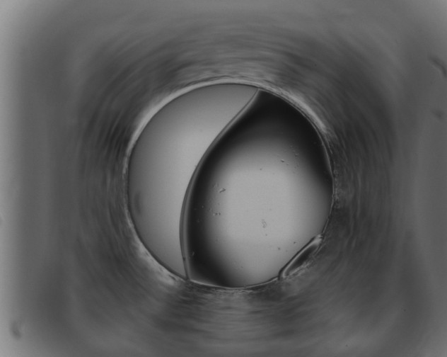 X0000093431532200710120907