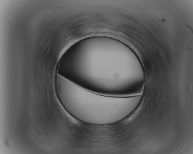 X0000093431533200710120907