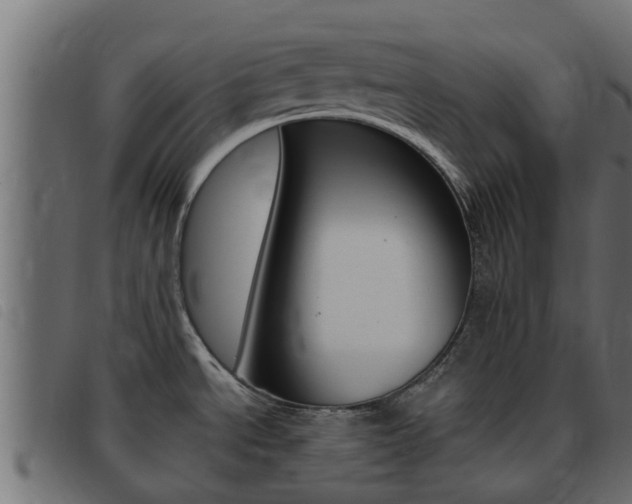 X0000093431534200710120907