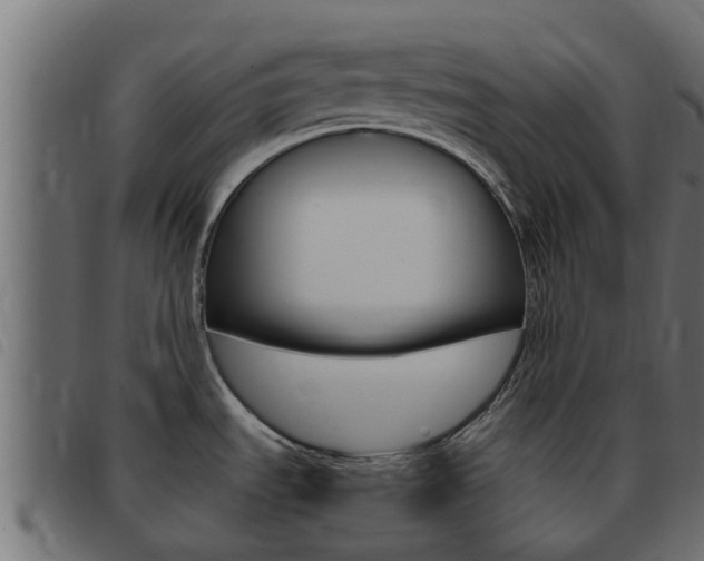 X0000093431535200710120907