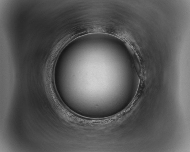 X0000093430001200710121211