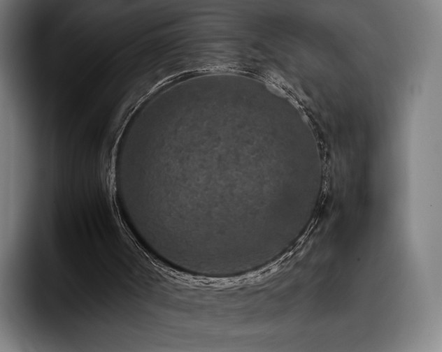 X0000093430002200710121211