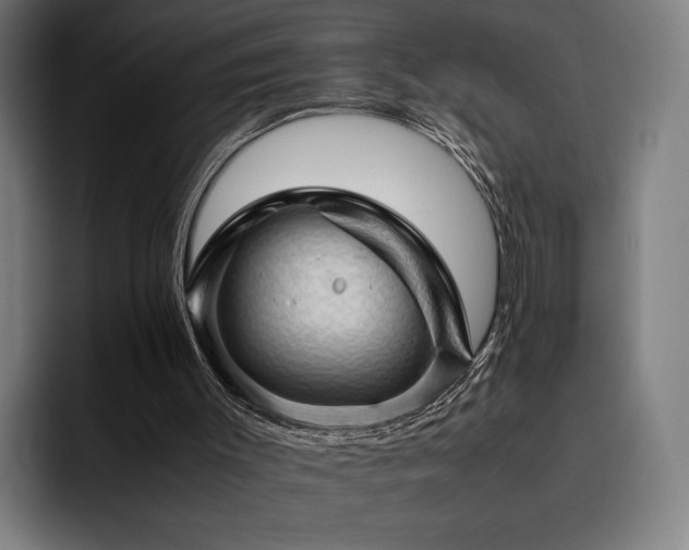 X0000093430003200710121211