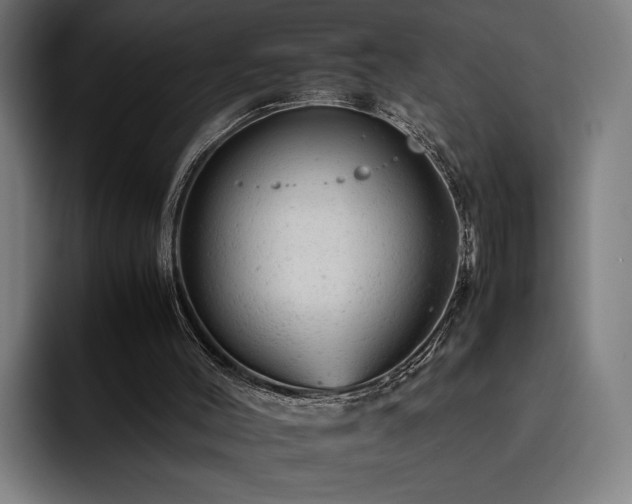 X0000093430004200710121211